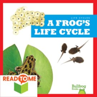 A_Frog_s_Life_Cycle