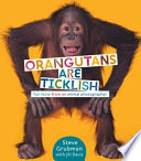Orangutans_are_ticklish