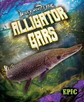 Alligator_Gars