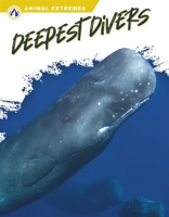 Deepest_Divers