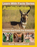 Antelopes_Photos_and_Facts_for_Everyone