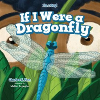 If_I_Were_a_Dragonfly