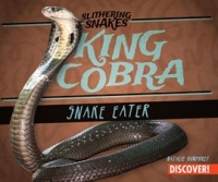 King_Cobra__Snake_Eater
