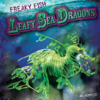 Leafy_Sea_Dragons