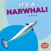 It_s_a_Narwhal_