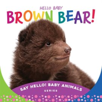 Hello_Baby_Brown_Bear_