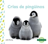 Cr__as_de_ping__inos__Penguin_Chicks_