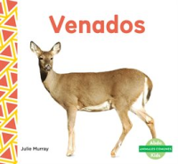 Venados__Deer__