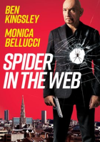 Spider_in_the_Web