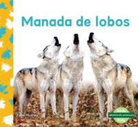 Manada_de_lobos__Wolf_Pack_