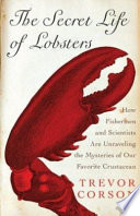 The_secret_life_of_lobsters