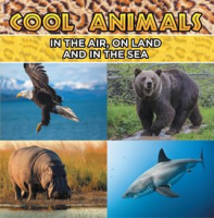Cool_Animals__In_The_Air__On_Land_and_In_The_Sea