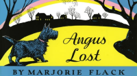 Angus_Lost
