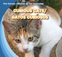 Curious_Cats___Gatos_curiosos