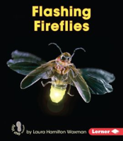 Flashing_Fireflies