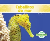 Caballitos_de_mar__Seahorses_
