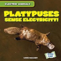 Platypuses_Sense_Electricity_