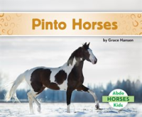 Pinto_Horses_Set_2