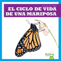 El_ciclo_de_vida_de_una_mariposa__A_Butterfly_s_Life_Cycle_