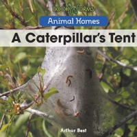 A_Caterpillar_s_Tent