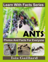 Ant_Photos_and_Facts_for_Everyone