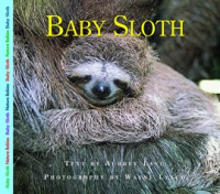 Baby_Sloth
