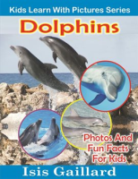 Dolphins_Photos_and_Fun_Facts_for_Kids