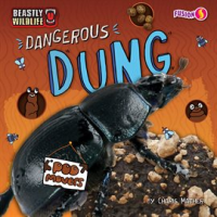Dangerous_Dung