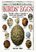 Birds__eggs