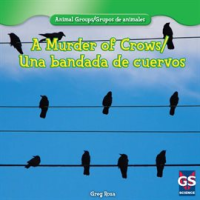 A_Murder_of_Crows___Una_bandada_de_cuervos