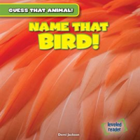 Name_That_Bird_