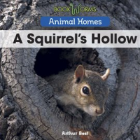 A_Squirrel_s_Hollow