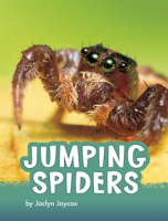 Jumping_Spiders