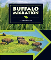 Buffalo_Migration
