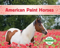 American_Paint_Horses