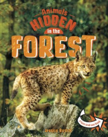 Animals_Hidden_in_the_Forest