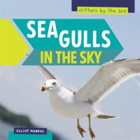Sea_Gulls_in_the_Sky