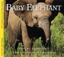 Baby_elephant