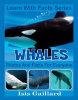 Whales_Photos_and_Facts_for_Everyone