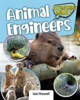 Animal_Engineers