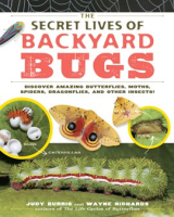The_Secret_Lives_of_Backyard_Bugs