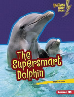 The_Supersmart_Dolphin