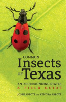 Common_Insects_of_Texas_and_Surrounding_States