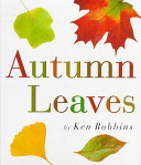 Autumn_leaves