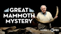 Great_Mammoth_Mystery