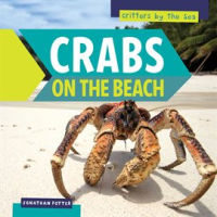 Crabs_on_the_Beach