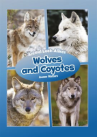 Wolves_and_Coyotes