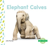 Elephant_Calves