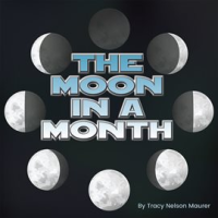The_Moon_in_a_Month