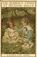 The_Bobbsey_Twins_at_Meadow_Brook